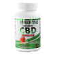 CBD Gummies
